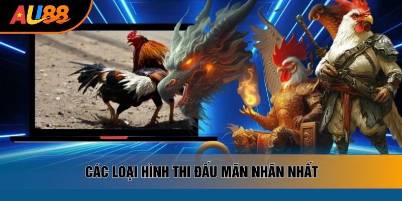 Các loại hình thi đấu mãn nhãn nhất Các loại hình thi đấu mãn nhãn nhất