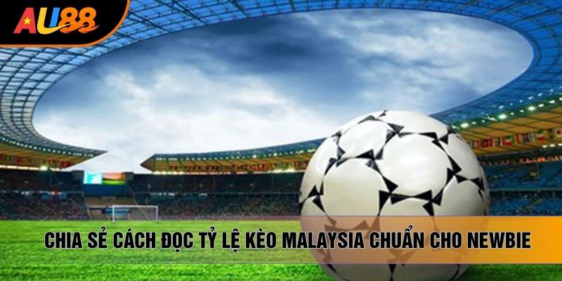 Chia sẻ cách đọc tỷ lệ kèo Malaysia chuẩn cho newbie Chia sẻ cách đọc tỷ lệ kèo Malaysia chuẩn cho newbie