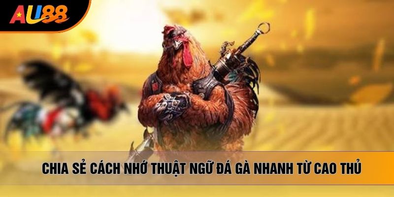 Chia sẻ cách nhớ thuật ngữ đá gà nhanh từ cao thủ Chia sẻ cách nhớ thuật ngữ đá gà nhanh từ cao thủ