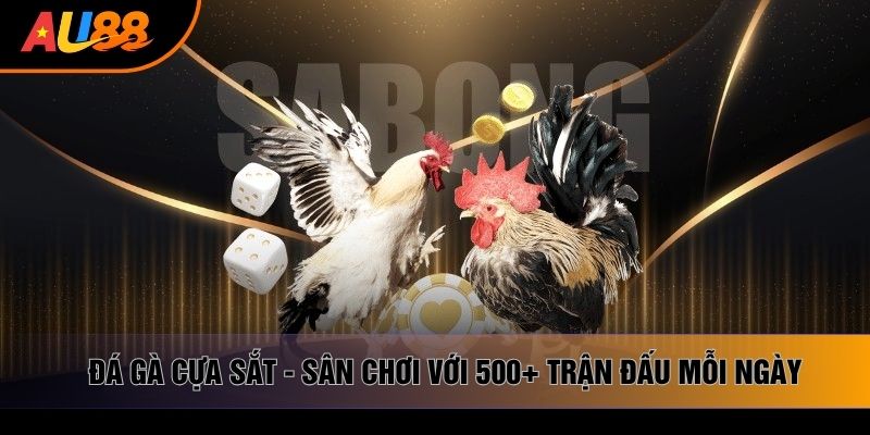 Đá Gà Cựa Sắt - Sân Chơi Với 500+ Trận Đấu Mỗi Ngày