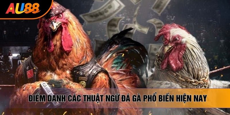 Điểm danh các thuật ngữ đá gà phổ biến hiện nay Điểm danh các thuật ngữ đá gà phổ biến hiện nay