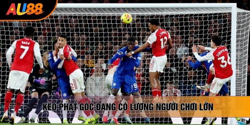 Kèo phạt góc đang có lượng người chơi lớn Kèo phạt góc đang có lượng người chơi lớn
