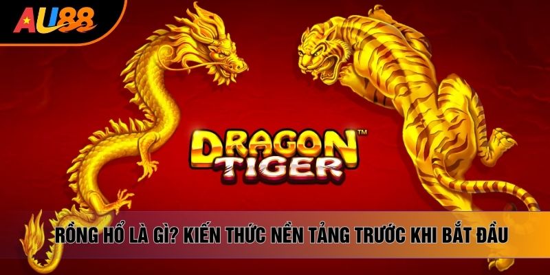 Rồng Hổ Là Gì? Bỏ Túi Kiến Thức Nền Tảng Trước Khi Bắt Đầu