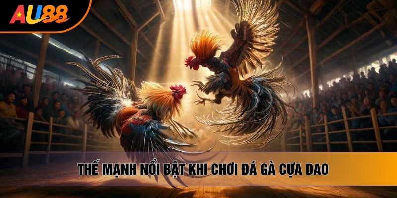Thế mạnh nổi bật khi chơi đá gà cựa dao Thế mạnh nổi bật khi chơi đá gà cựa dao