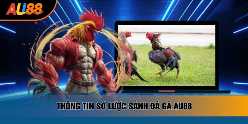 Thông tin sơ lược sảnh đá gà AU88 Thông tin sơ lược sảnh đá gà AU88